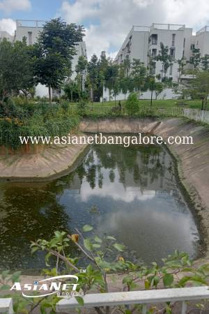 pond Cleaning Services in Banglore